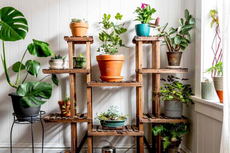 Uma prateleira de madeira para horta de temperos exibindo diversas plantas e suculentas em vasos coloridos, contra uma parede brilhante perto de uma janela.